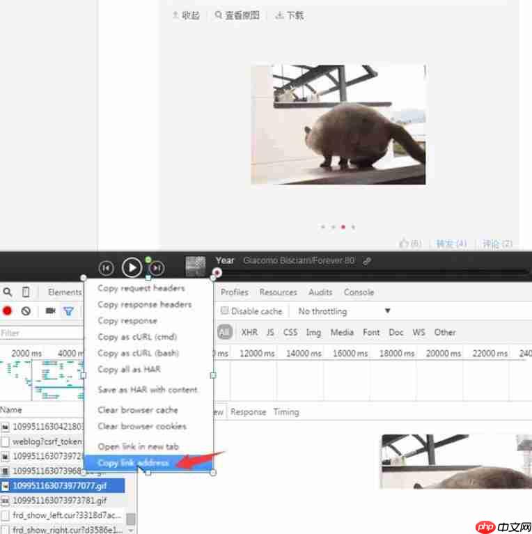 网易云音乐gif动图怎么下载保存？下载保存gif动图步骤分享