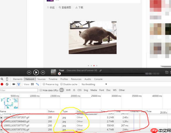 网易云音乐gif动图怎么下载保存？下载保存gif动图步骤分享