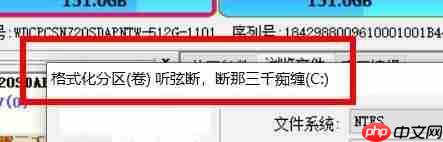 DiskGenius如何格式化分区？DiskGenius格式化分区的方法
