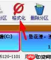 DiskGenius如何格式化分区？DiskGenius格式化分区的方法
