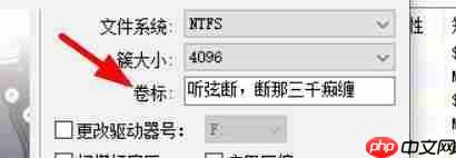 DiskGenius如何格式化分区？DiskGenius格式化分区的方法