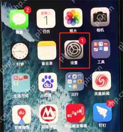 在iphonexr中如何开启悬浮球功能？悬浮球功能开启方法一览