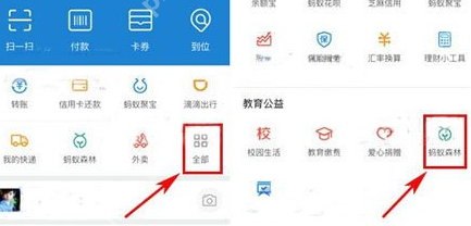 在支付宝里怎么将行走捐打开？将行走捐打开的步骤一览