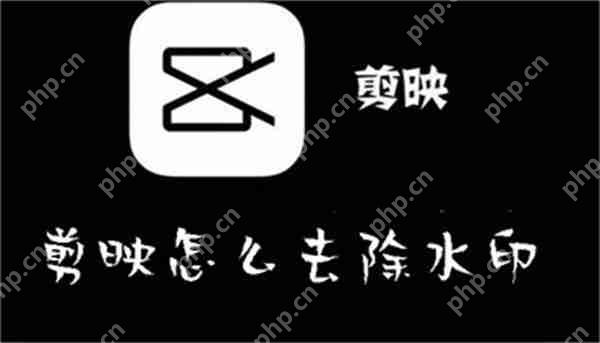 剪映怎么去除水印