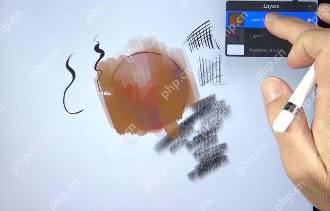 procreate如何画圆_procreate画圆流程详解