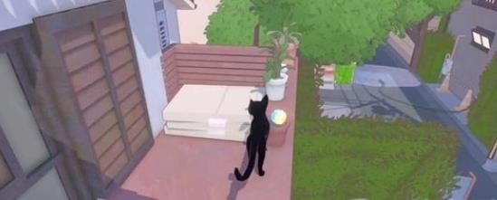大城小猫2024