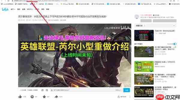 哔哩哔哩怎么查询视频BV号和AV号
