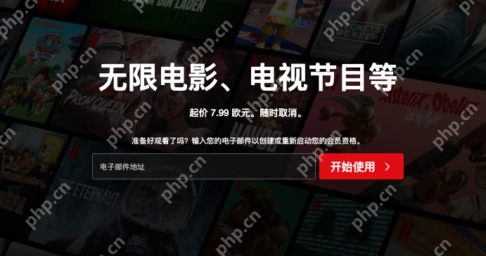netflix在线观看网站 netflix电影在线观看网站入口 - 菜鸟