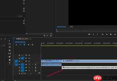 PR怎么解决有音轨无声音