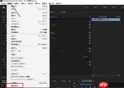 PR怎么解决有音轨无声音