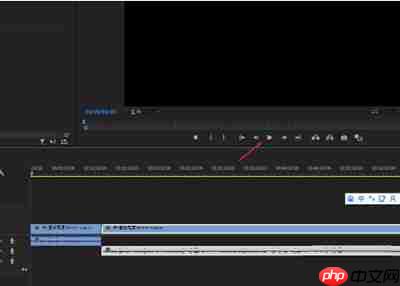 PR怎么解决有音轨无声音