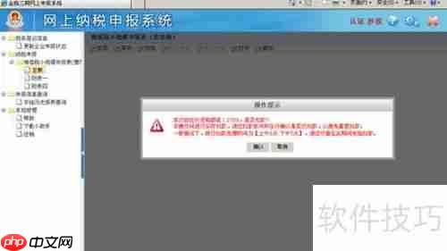 金三网上报税系统操作指南