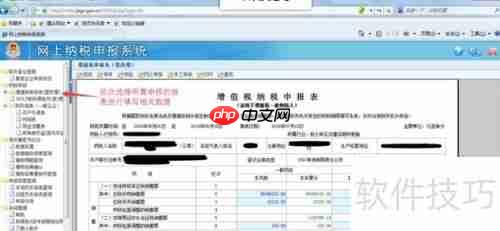 金三网上报税系统操作指南
