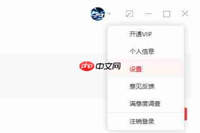 有道词典中怎么使用离线翻译功能？离线翻译功能操作方法一览