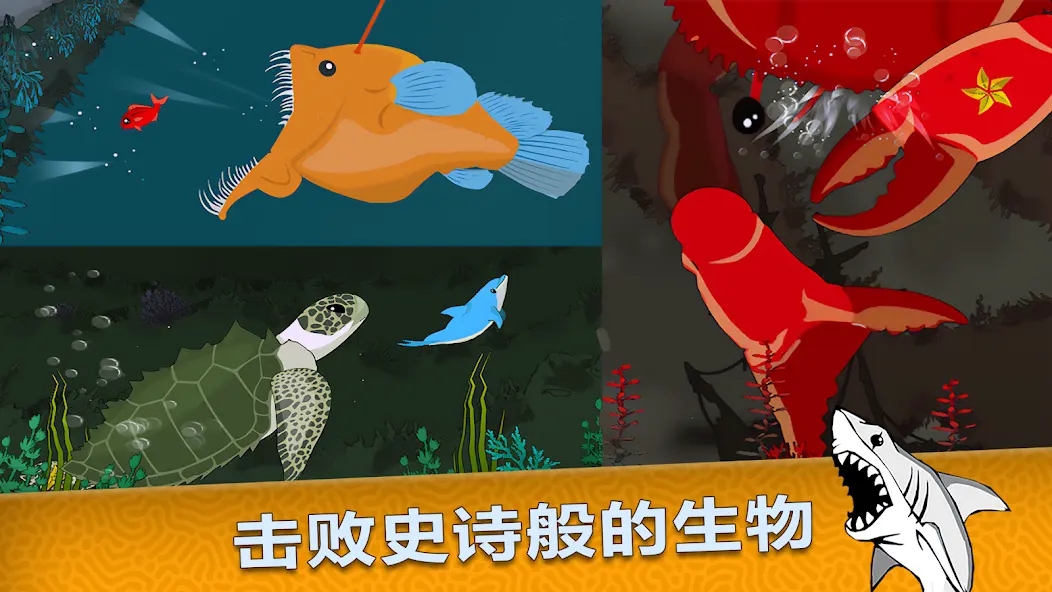 皇家鱼手机版