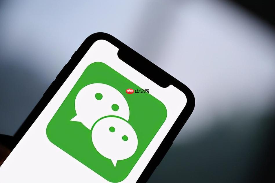 微信转账怎么把钱退回 微信转账退款方法分享
