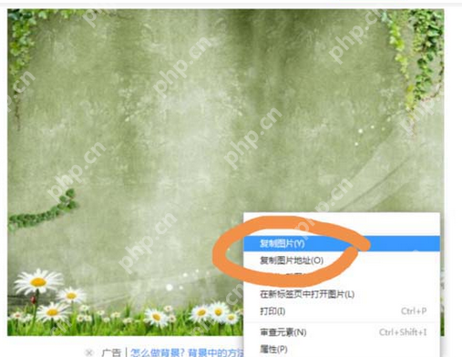 sai绘图软件怎么在一张纸里插入两张图片？在一张纸里插入两张图片方法介绍