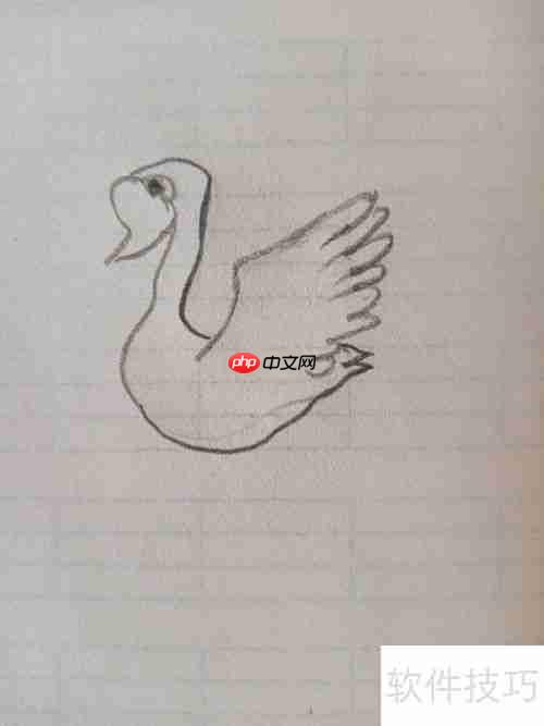 学会这招，轻松画出优雅天鹅简笔画