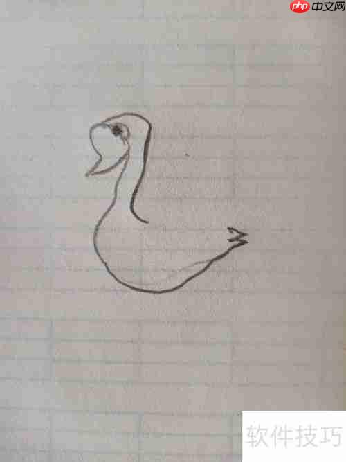 学会这招，轻松画出优雅天鹅简笔画