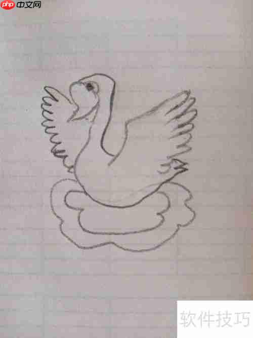 学会这招，轻松画出优雅天鹅简笔画