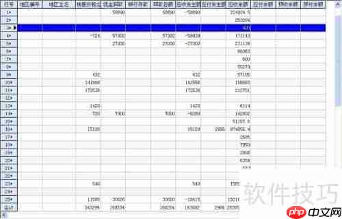 管家婆软件使用小窍门总结