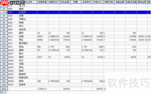管家婆软件使用小窍门总结