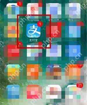 支付宝码商狂欢节余利宝收益如何翻倍？码商狂欢节余利宝收益翻倍条件详解