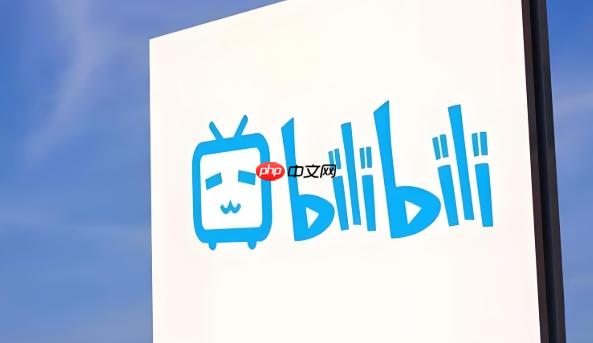 在B站怎么赚钱 UP主盈利方式及变现途径解析