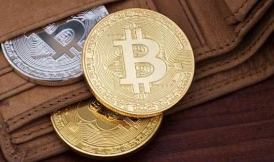 冷wallet是什么币都能放吗？冷wallet支持币种盘点