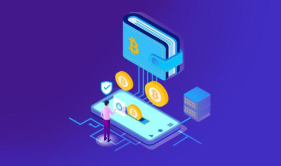 在数字货币wallet可以通用吗？币能不能放在同个wallet