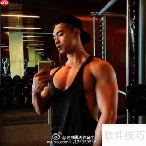 青少年健身健美计划指导手册