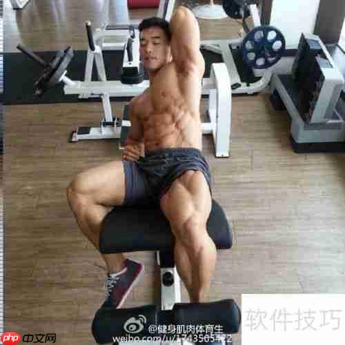 青少年健身健美计划指导手册