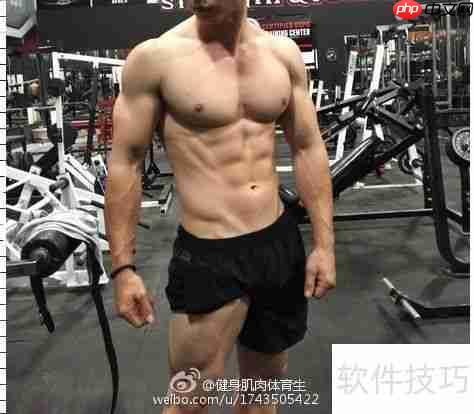 青少年健身健美计划指导手册