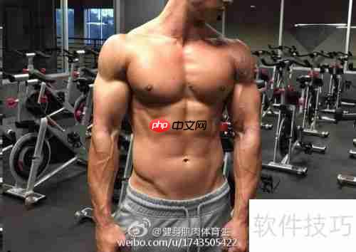 青少年健身健美计划指导手册