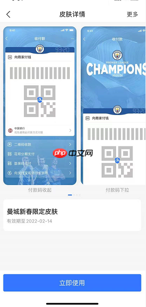 支付宝英超付款码皮肤怎么获得