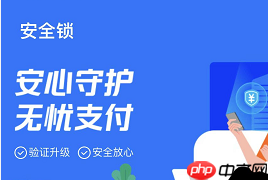 支付宝安全锁夜间保护怎么开启