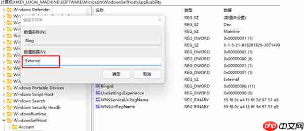 win11计划通道release preview怎么更改为Dev