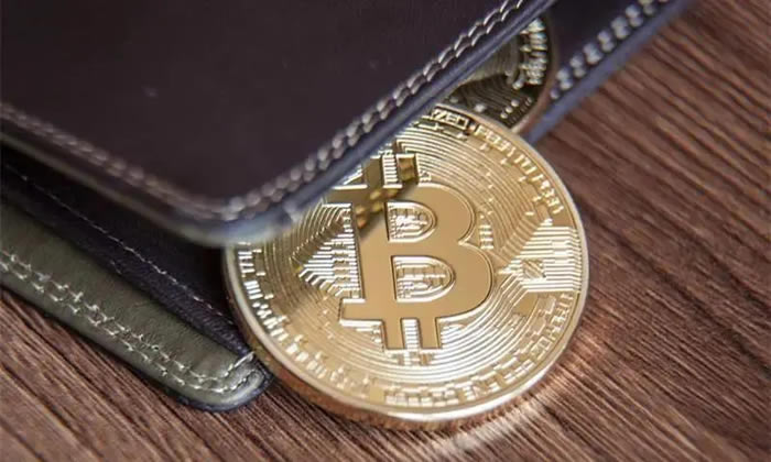 常用的比特币wallet有哪些？比特币wallet的种类介绍