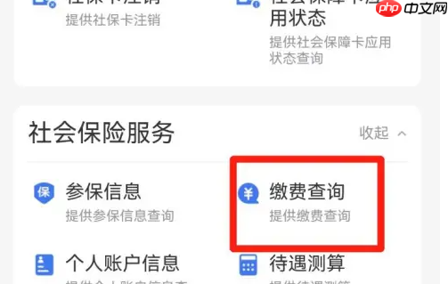 闽政通怎么查社保缴费月数 闽政通查询社保缴费月数操作步骤
