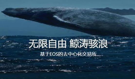 WAL币发行量多少枚？WAL币发行总量介绍