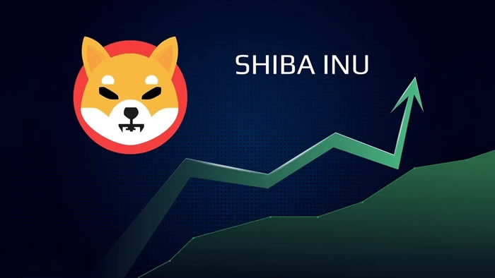 shib币2025年价格(shib币未来价格预测)