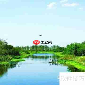 打造健美身心：从锻炼到心态全面提升