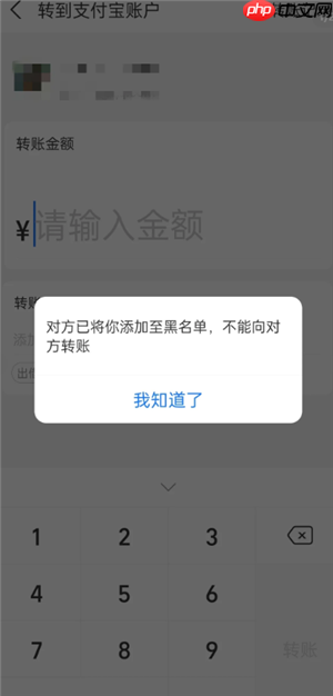 支付宝拉黑怎么拉回来 支付宝拉黑拉回来教程