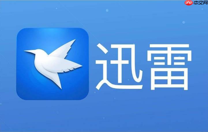 迅雷网盘在哪里看容量 查看剩余空间位置指南