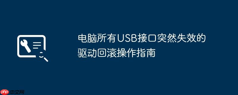 电脑所有USB接口突然失效的驱动回滚操作指南