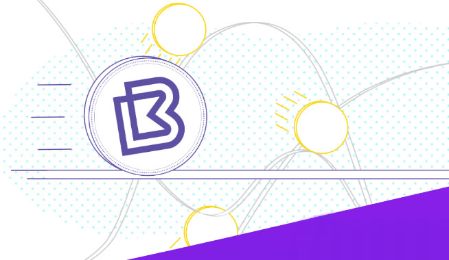 BAY是什么币种？BAY币的发展历程及优势