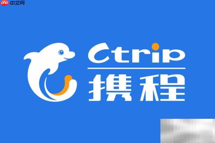 携程旅行人证核验介绍