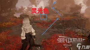光与影33号远征队玛埃尔面刺怎么获取
