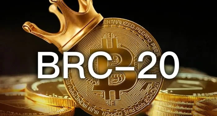什么是BRC-20?如何布局BRC-20?