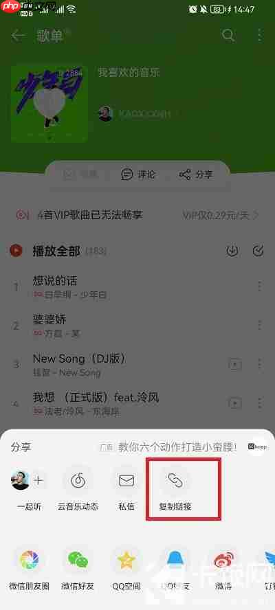 波点音乐怎么导入网易云歌单